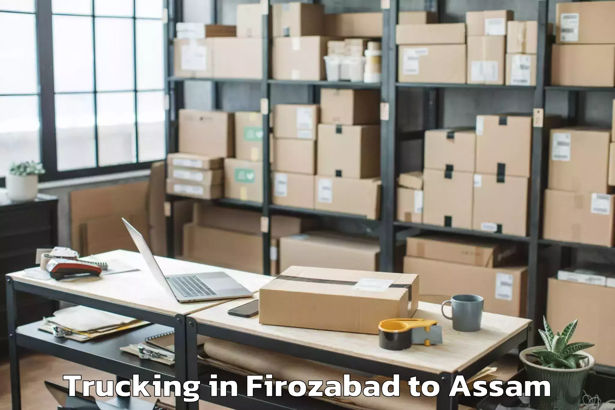 Book Firozabad to Kokrajhar Trucking Online